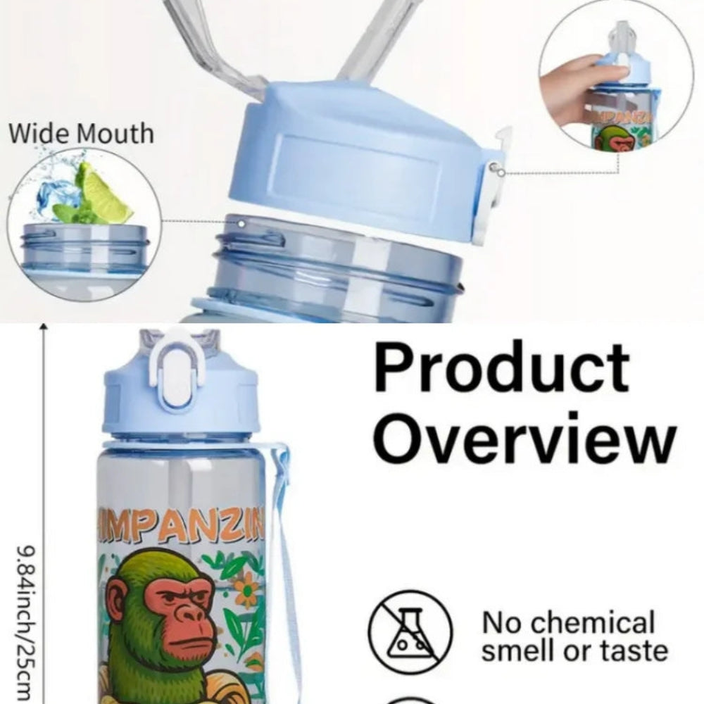 750ml Water Bottle with Straw Leakproof Drinking Bottle inviteck