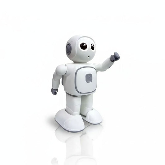 Smart AI Companion Robot – Interactive for Kids & Adults